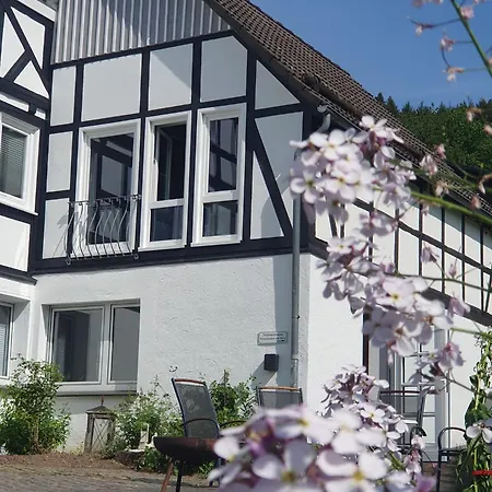 Paradiesken Am Berg Schmallenberg